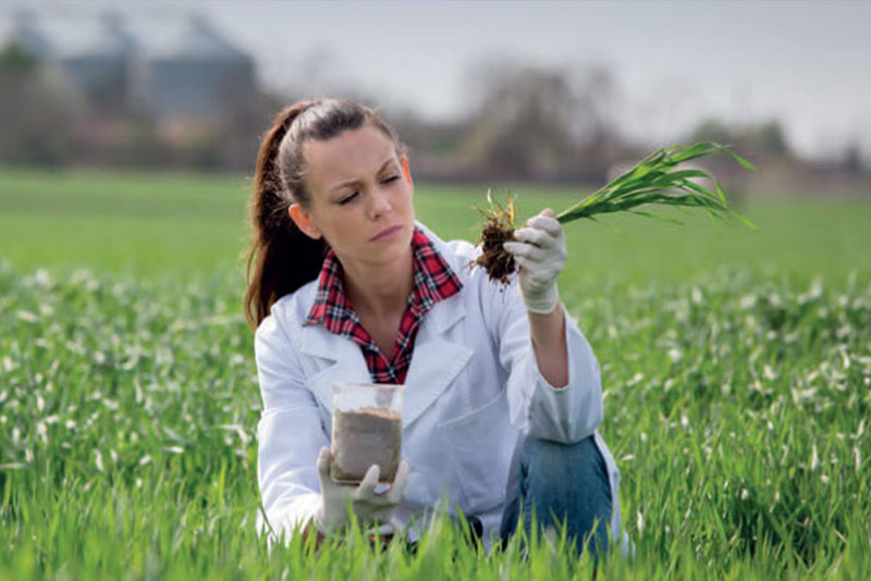 carreras universitarias agronomía UDLA continuidad