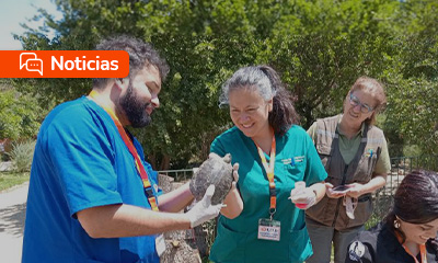 La carrera de Medicina Veterinaria de UDLA Sede Viña del Mar brindó atención gratuita a 2.939 animales durante 2024.