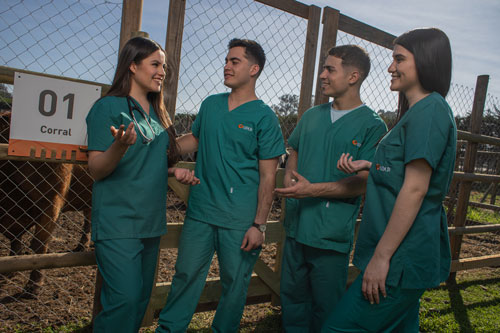 Estudiantes de la carrera universitaria de Técnico de Nivel Superior Veterinario UDLA aprendiendo de forma práctica en el campus Melipilla