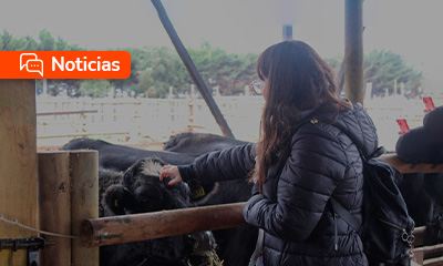 Durante la visita, las jóvenes recorrieron la clínica veterinaria para animales grandes y pequeños
