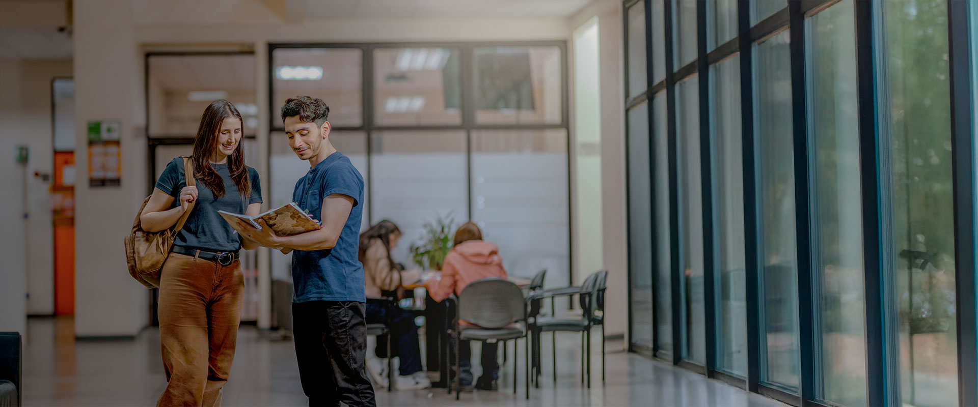 Conoce la malla de tu carrera de preferencia