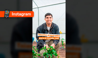 82% de nuestros titulados logra al primer año de egreso