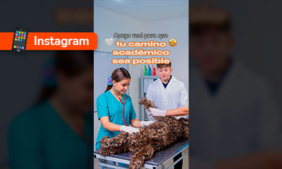 Becas internas y beneficios UDLA para ti