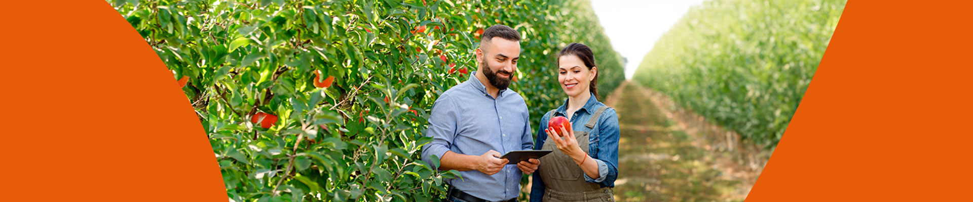Carrera de Técnico de Nivel Superior Agrícola